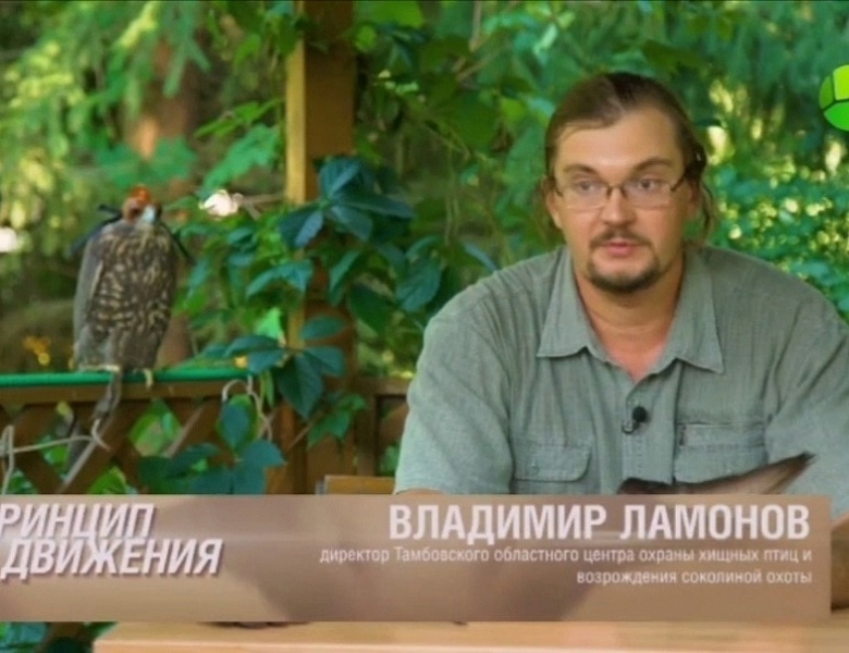 Пернатые Центра охраны хищных птиц стали героями телепередачи