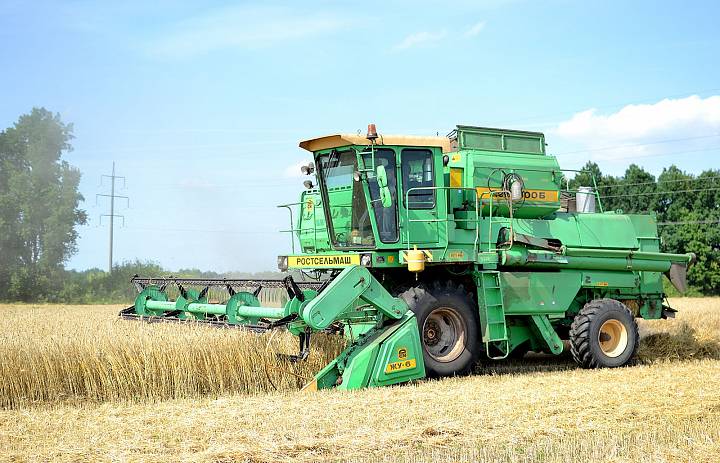 В Учхозе-племзаводе «Комсомолец» приступили к уборке озимой пшеницы