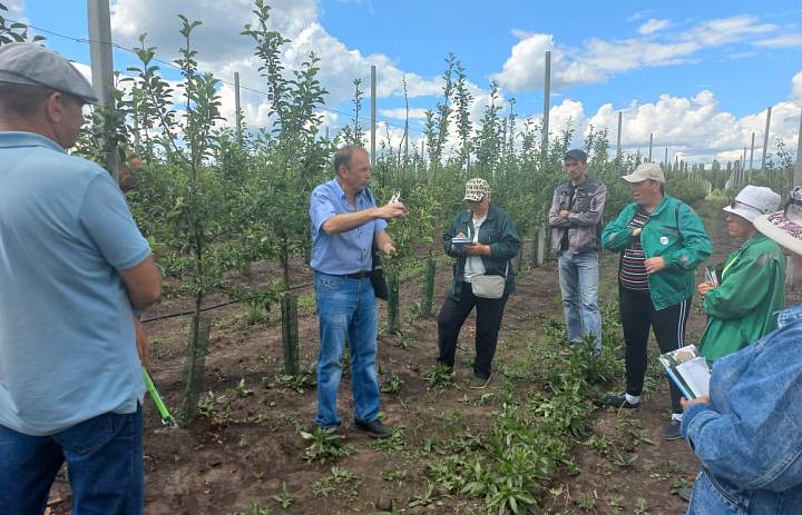 Александр Соловьев провел мастер-класс по летней обрезке яблони для специалистов ООО «Агроном-сад»