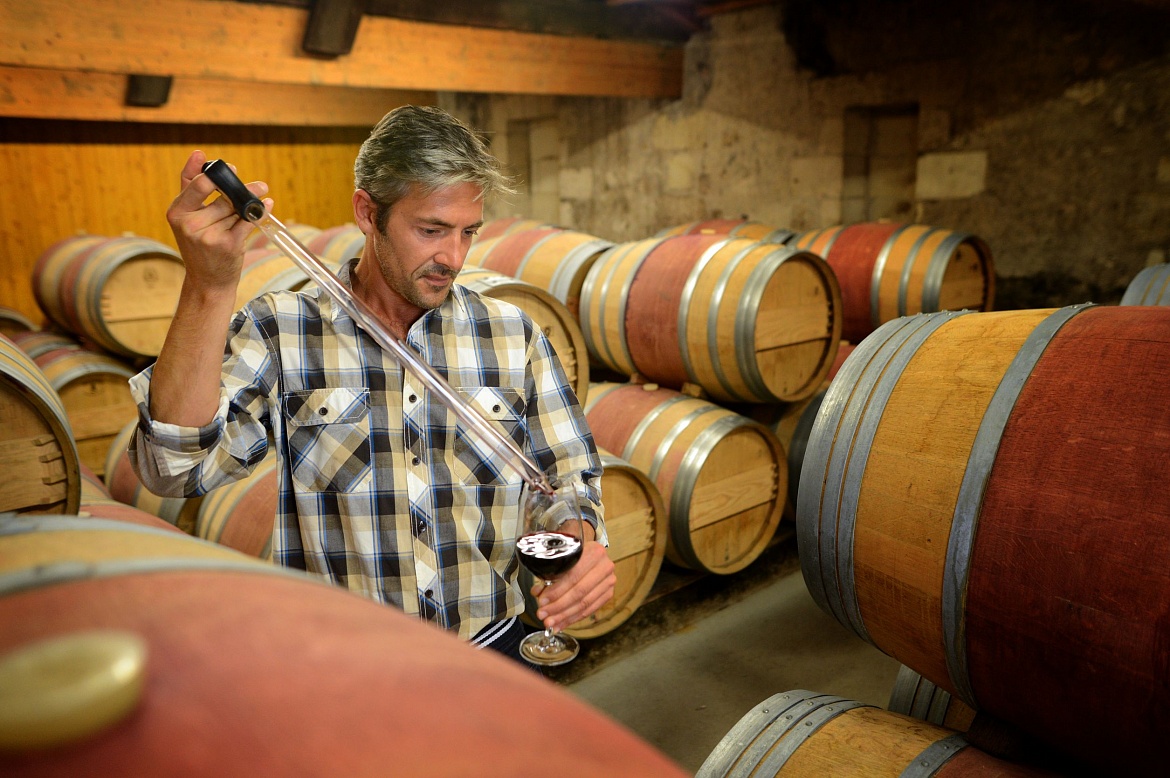Проект профессионального стандарта «Работник в области виноделия» 
