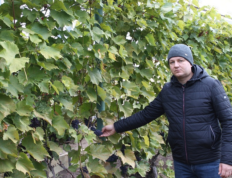Михаил Пимкин – участник конференции по виноградарству