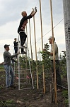 Сотрудники и студенты вуза закладывают яблоневый сад на шпалере.JPG