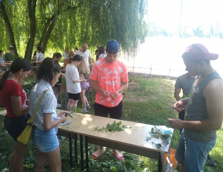 Студенты Мичуринского ГАУ высадили черенки декоративных культур на агробиостанции