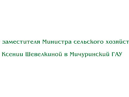 Визит заместителя Министра сельского хозяйства РФ Ксении Шевелкиной в Мичуринский ГАУ