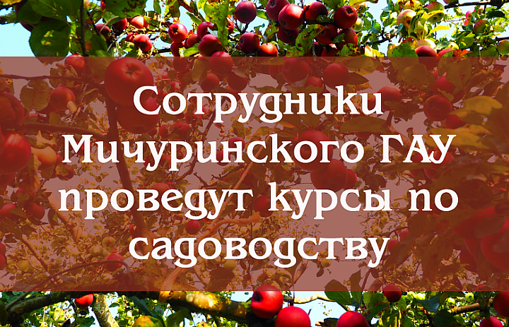 Курсы повышения квалификации по садоводству